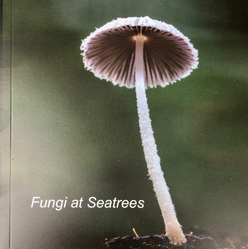 Fungi Book Cover